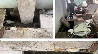 Xả thải ‘bậy’ ra môi trường, 3 cơ sở lĩnh mức phạt gần 800 triệu đồng