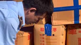 Hà Nội: Phát hiện hơn 4 tấn táo đỏ khô nhập ngoại có dấu hiệu vi phạm