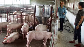 Giá thực phẩm tươi sống “lao dốc”: Mừng ít lo nhiều