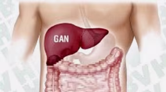 Thỉnh thoảng ngưng rượu để gan “nghỉ ngơi”