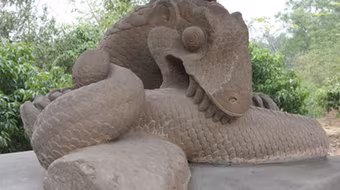 Những chuyện lạ xung quanh pho tượng rồng kỳ bí 