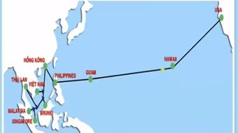 Internet đi quốc tế chậm do lại đứt cáp quang biển AAG