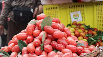 Nhớ mùa nhót chín cuối xuân