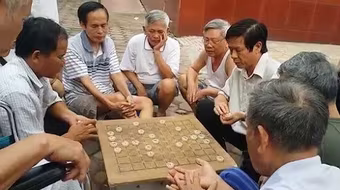 Ra phố xem xe pháo mã