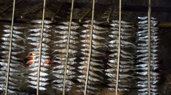 Lên Đà giang ăn cá nướng ngắm... thiên nhiên