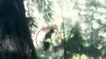 Bí ẩn kẻ sát nhân có biệt danh “người rừng” (2)