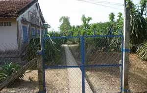 Rộ tin đồn “rồng nổi” tại tỉnh Tiền Giang