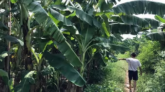 Tạm giữ hình sự gã đàn ông giở trò đồi bại bé gái 12 tuổi trong vườn chuối