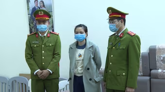 Khởi tố vụ buôn lậu pin năng lượng mặt trời trị giá hàng trăm tỷ đồng