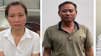 Cơ quan điều tra Bộ Công an khởi tố 4 bị can liên quan dự án trồng mới cây xanh tại Hà Nội