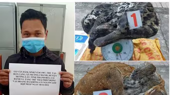 Đầu nậu chuyên cung ứng động vật hoang dã từ Lào về Việt Nam bị bắt