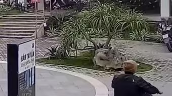 Cơ quan Công an xác minh vụ nam bảo vệ bị hành hung vì đưa vé 'số xấu' cho khách 