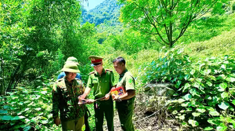 Công an Hà Nội đảm bảo an toàn phòng cháy rừng phòng hộ đặc dụng