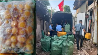  Công an Hà Nội liên tục phát hiện các vụ kinh doanh, vận chuyển 'thực phẩm bẩn'