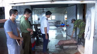 Cặp vợ chồng chủ trang trại lợn bị khởi tố