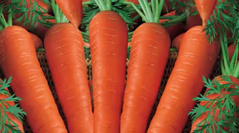 Thực phẩm tốt cho thị lực