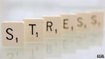 Tìm hiểu vai trò của stress trong sa sút trí tuệ