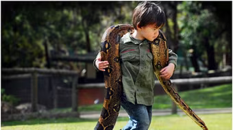 Rợn người bé 2 tuổi vác chú trăn nặng 10 kg