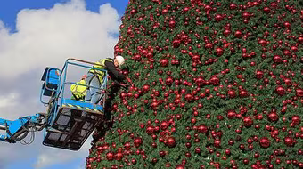 Choáng ngợp với cây thông Noel khổng lồ