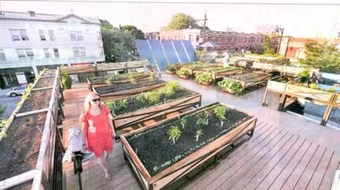 Giải trí trên nóc những tòa nhà chọc trời