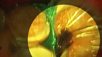 Kinh dị chuột chạy trong túi bánh McDonald's