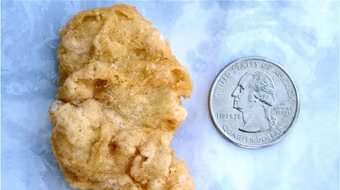 8.100 USD cho miếng gà rán hình tổng thống Mỹ