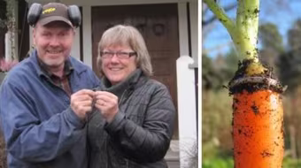 Những chuyện tình cờ, khó tin nhưng có thật