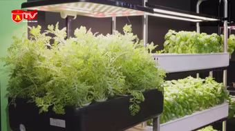 Hội chợ trưng bày sản phẩm mang tính bền vững nổi bật 