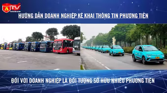 Công an thành phố Hà Nội hướng dẫn doanh nghiệp kê khai thông tin phương tiện