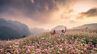 Sắp diễn ra Lễ hội hoa tam giác mạch Tuyên Quang 2025