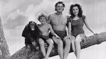 Tinh tinh Cheetah qua đời ở tuổi 80