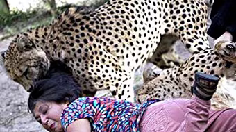 Kinh hoàng người phụ nữ bị báo tấn công