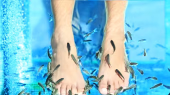 Hiểm hoạ khôn lường từ liệu pháp làm đẹp bằng cá, lươn