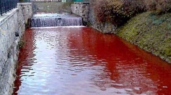 Sốc: Dòng sông ngập máu chỉ sau một đêm