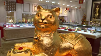 Cận cảnh tượng mèo vàng 'Kim Mão Vương Bảo' nặng 48kg ngày vía Thần Tài