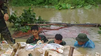 Mở đập Thanh Liệt cứu ngập ngoại thành Hà Nội