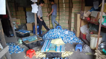 Sang chiết, đóng gói thuốc trừ sâu chui giữa Thủ đô