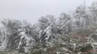 Không khí lạnh tăng cường, nhiều nơi ở Bắc bộ ghi nhận nhiệt độ âm