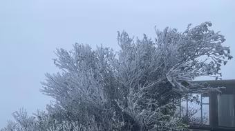 Không khí lạnh cực mạnh sắp tràn xuống, Bắc bộ chuyển rét đậm, xuất hiện sương muối