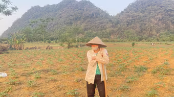 Nắng nóng, hạn hán bắt đầu “tấn công” vào nông nghiệp, nhiều nơi thiếu nước