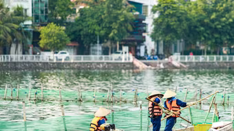 Cá chết nổi đầy Hồ Tây, công nhân thoát nước thu vớt mỗi ngày 50 kg