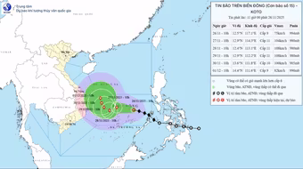 Bão số 15 được nhận định nhiều khả năng "chết yểu" trên biển