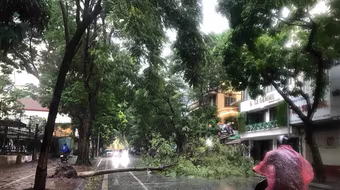 Thiết lập kênh thông tin quản lý học sinh tham gia các hoạt động hè đề phòng báo số 3