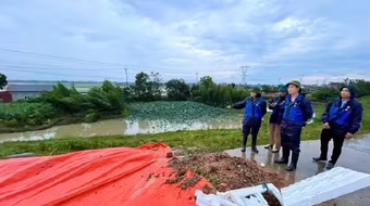 Khẩn trương xử lý sự cố lún, nứt đê hữu Cầu và đê hữu Hồng