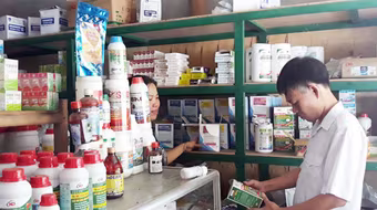 Hà Nội: Kiểm soát chặt chẽ dược chất gây nghiện, thuốc thú y có chứa chất ma túy