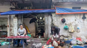 Sớm chấm dứt hoạt động giết mổ gia súc, gia cầm nhỏ lẻ, trái phép