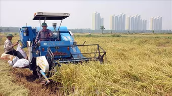 Ban hành quy định về cấp phép xây dựng trên vùng sản xuất nông nghiệp tập trung