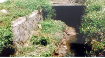 Rợn người vụ cặp vợ chồng giết chủ nợ, phi tang xác xuống cống