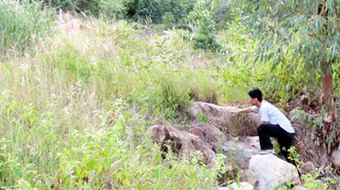 Phát hiện thi thể thiếu nữ đang phân huỷ trong rẫy ngô 	