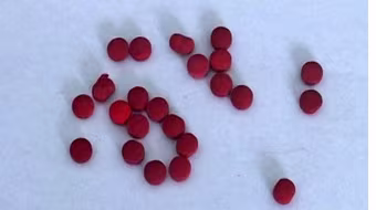 Bắt đối tượng qua Lào mua ma túy bán kiếm lời